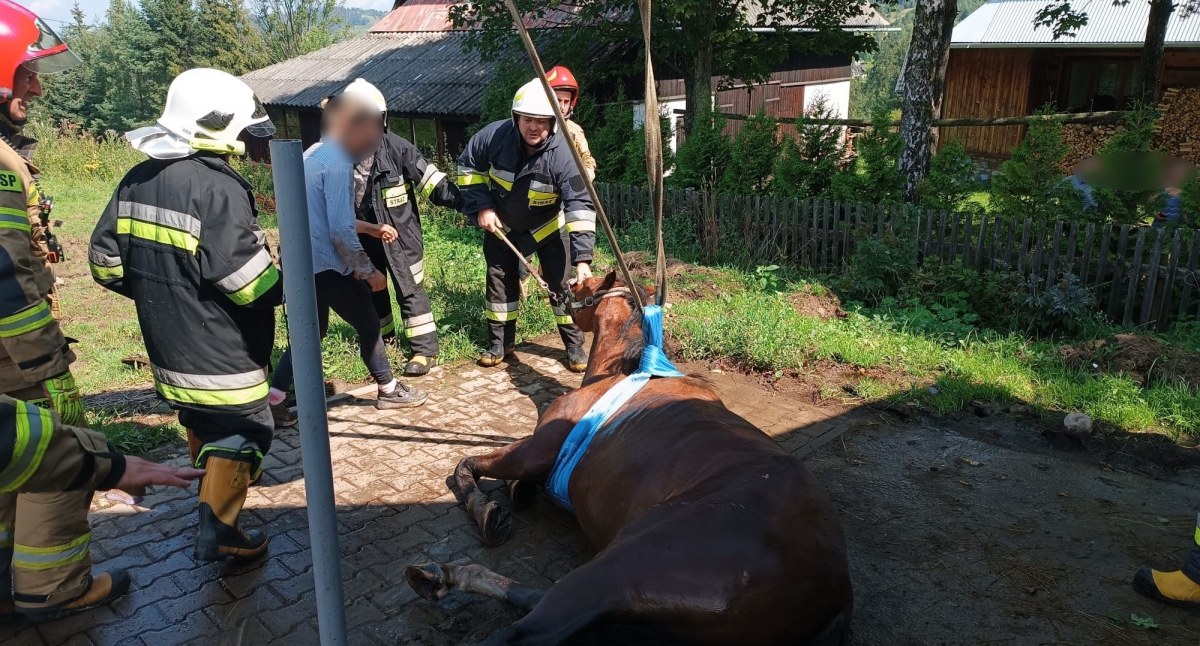 Koń wpadł do studni / Fot. KP PSP Zakopane