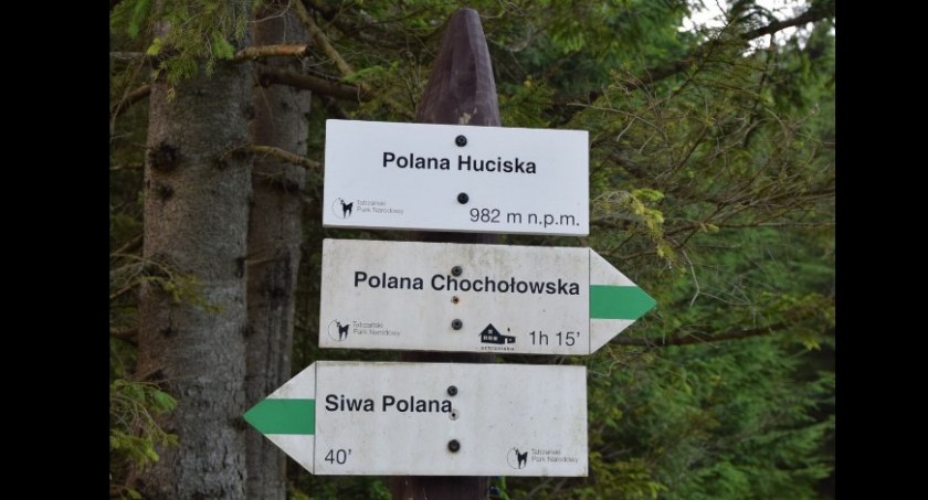 fot. Policja Zakopane