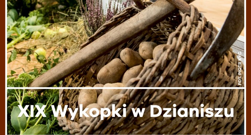 Festyny i pikniki, Wykopki Dzianiszu - zdjęcie, fotografia