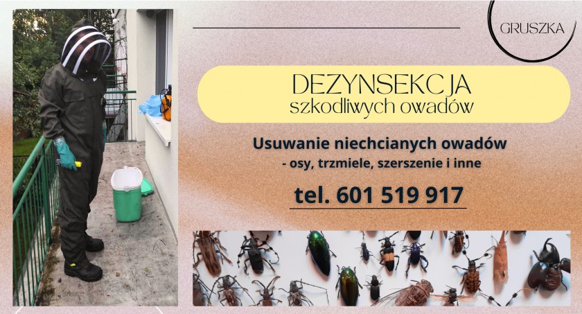Różne, Usuwamy niechciane owady szerszenie trzmiele - zdjęcie, fotografia