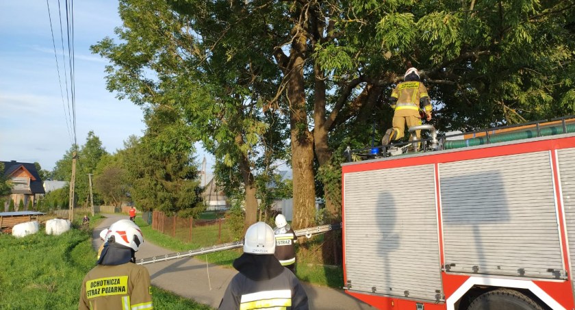 Zagrożenia miejscowe, Akcja strażacka Podczerwonem bezpieczeństwa mieszkańców - zdjęcie, fotografia