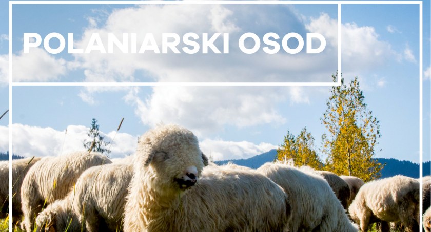 Festyny i pikniki, Polaniarski - zdjęcie, fotografia