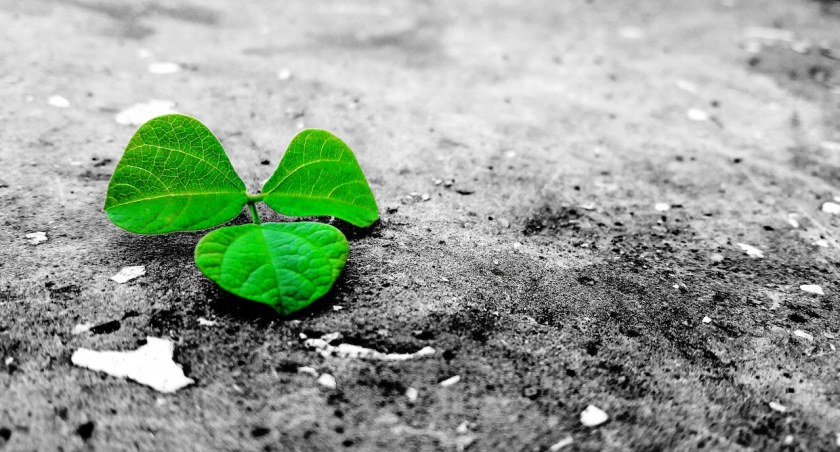 Różne, Przyszłość recyklingu betonu świetle globalnych celów neutralności klimatycznej - zdjęcie, fotografia