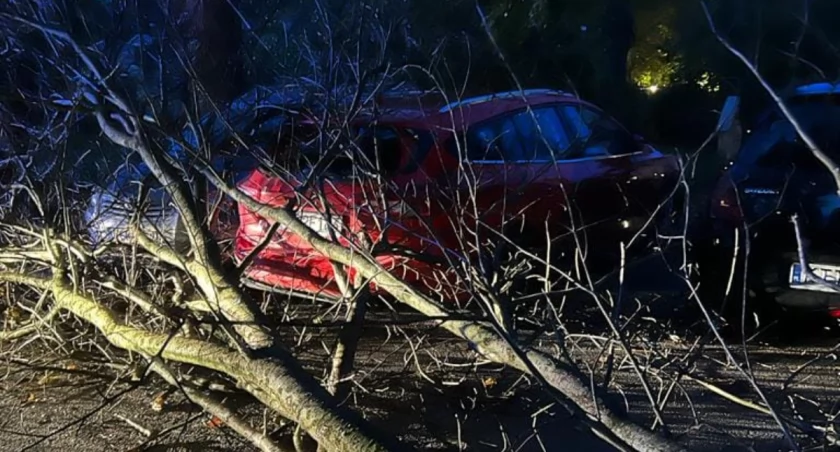 Porywisty wiatr znowu dał znać o sobie. / Fot. KP PSP Zakopane