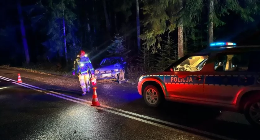 Miał blisko 2 promile alkoholu / fot. KP PSP Zakopane