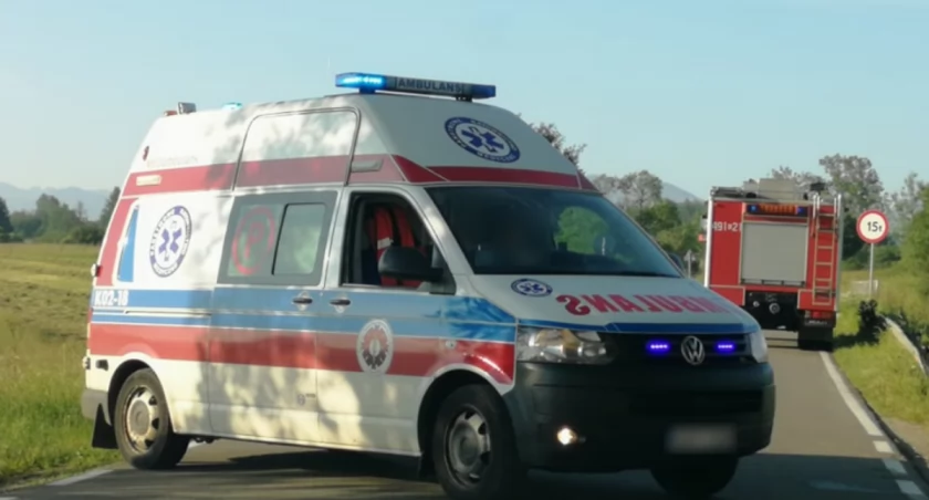 zdjęcie ilustracyjne
