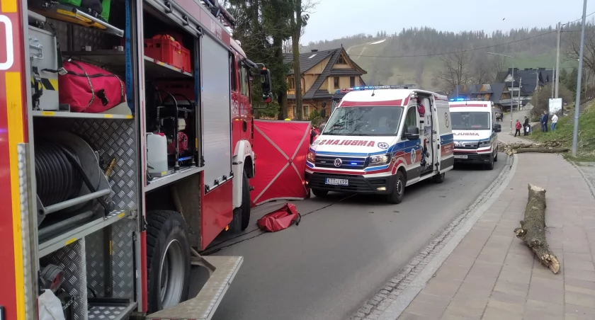 Nie żyje młoda kobieta przygnieciona przez drzewo / fot. KP PSP Zakopane