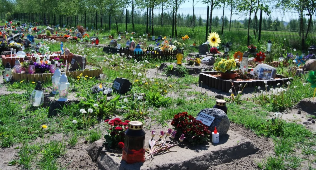 Przyroda, Cmentarz zwierząt Nowym Targu radny apeluje wyznaczenie takiego miejsca - zdjęcie, fotografia