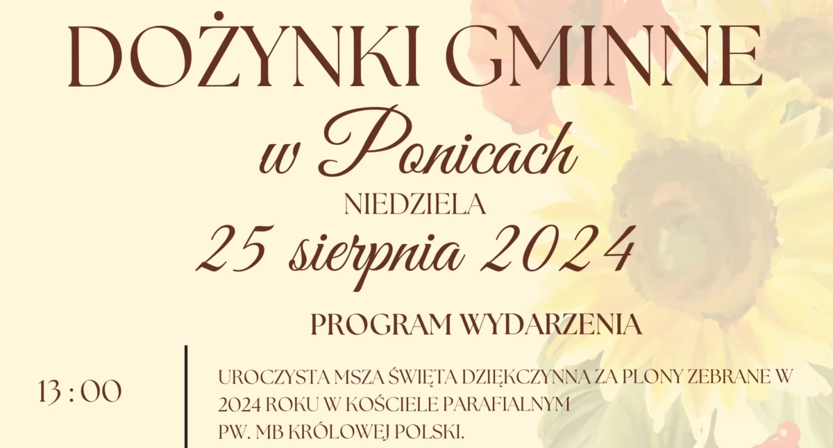 Festyny i pikniki, Dożynki Gminne Ponicach - zdjęcie, fotografia