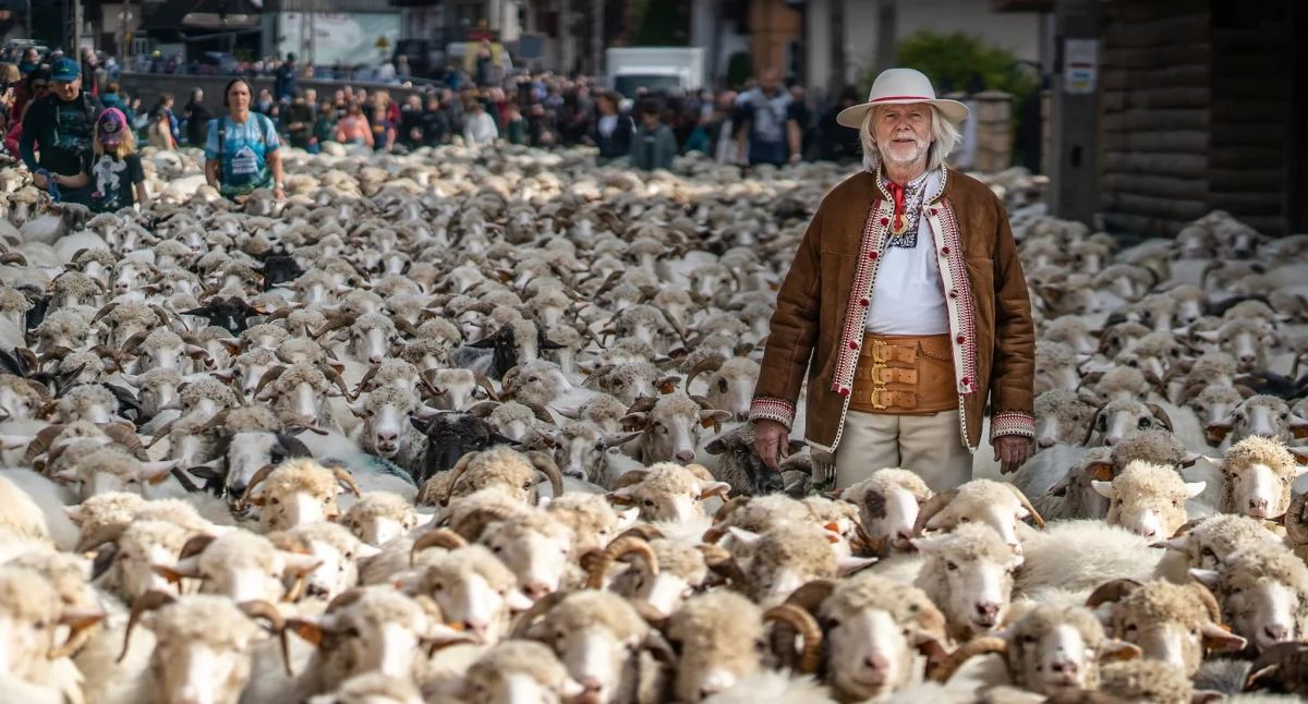 Folklor, Jesienny Redyk Sercu Pienin żywa tradycja ulicach Szczawnicy - zdjęcie, fotografia