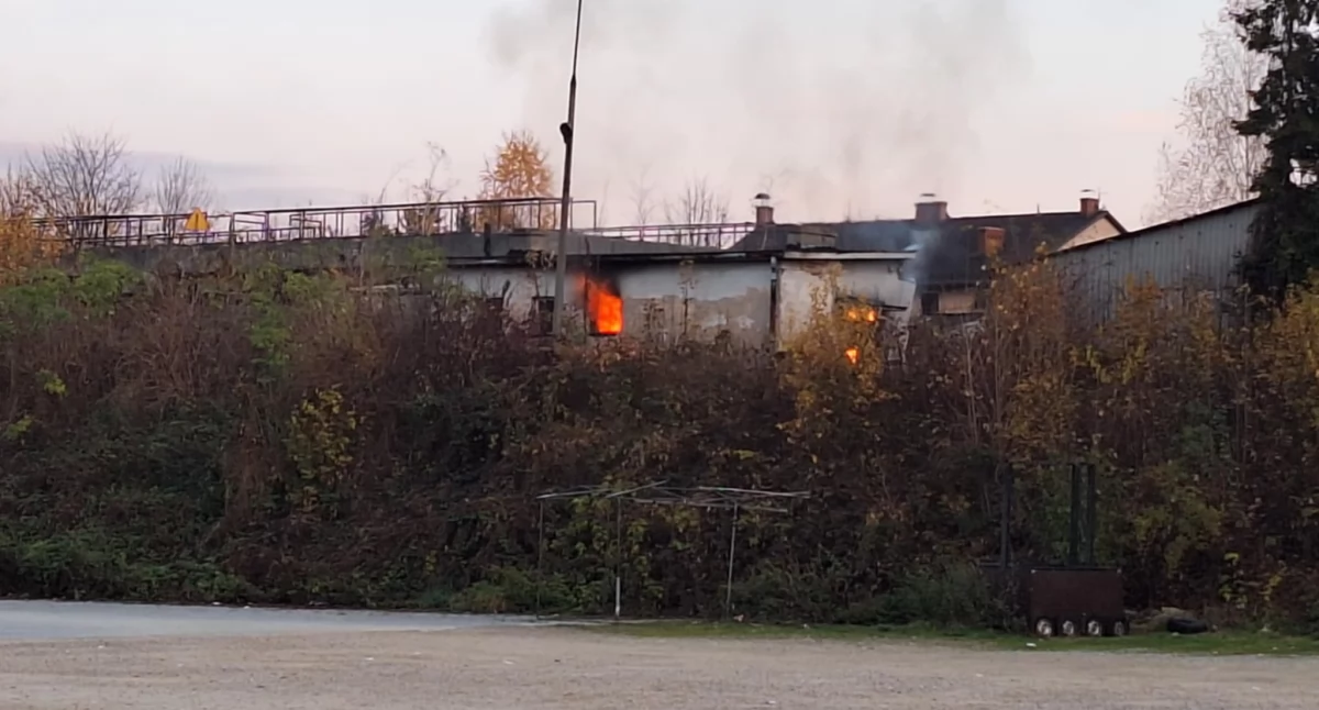 Pożary, Pożar terenie starej oczyszczalni - zdjęcie, fotografia