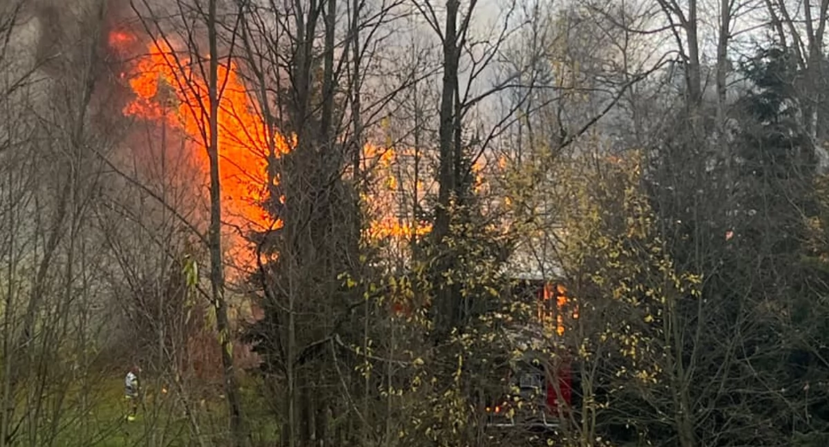 Pożary, Wielki pożar Skrzypnem kilkanaście zastępów akcji - zdjęcie, fotografia