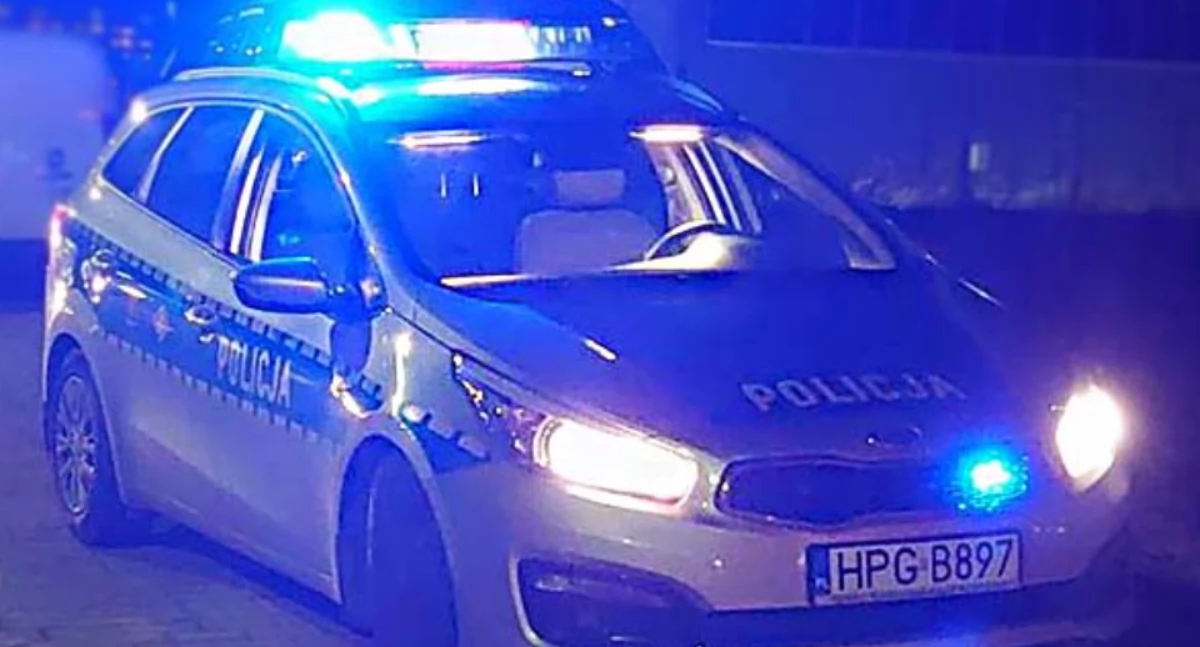 Wypadki, Tragiczna kolizja granicy Zębu Nowego Bystrego musiał zostać uśpiony - zdjęcie, fotografia