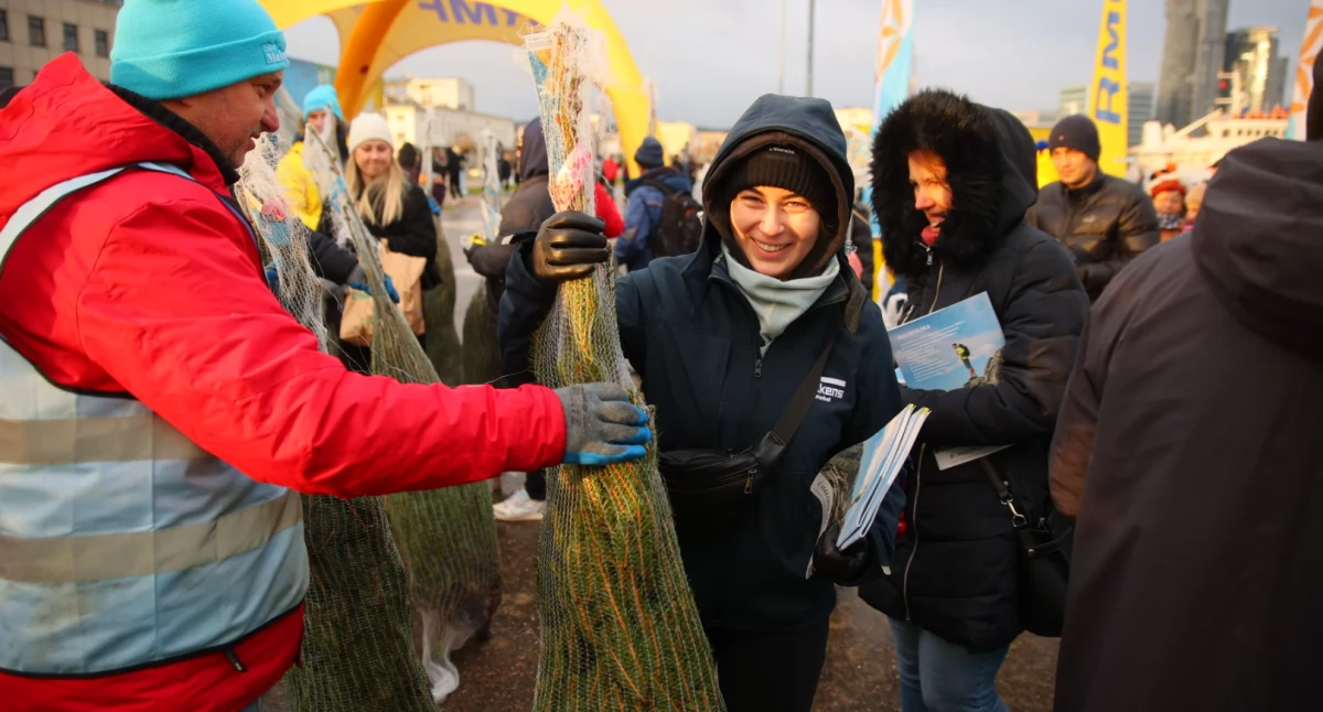Sprawy lokalne, Choinki choinkę Małopolski Zakopanem grudnia - zdjęcie, fotografia