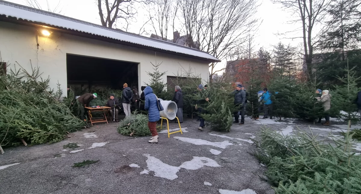 Fot. Nadleśnictwo Nowy Targ