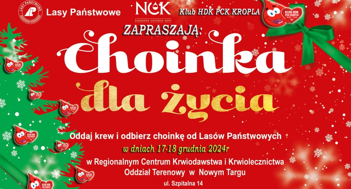 Pomoc charytatywna, Oddaj odbierz świąteczną choinkę! - zdjęcie, fotografia