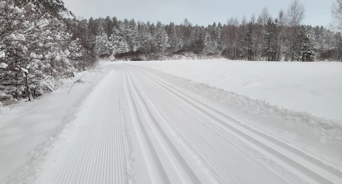 Fot. Urząd Miasta Nowy Targ