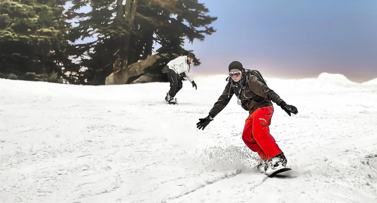 Różne, wybrać deskę snowboardową mountain - zdjęcie, fotografia