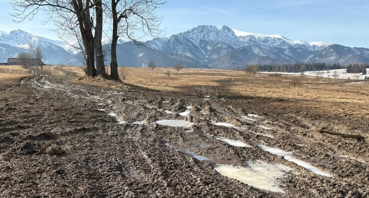 Sprawy lokalne, Quady nadal dewastują Podhale problem przeniósł Zakopanego Antałówkę Bachledzki Wierch - zdjęcie, fotografia
