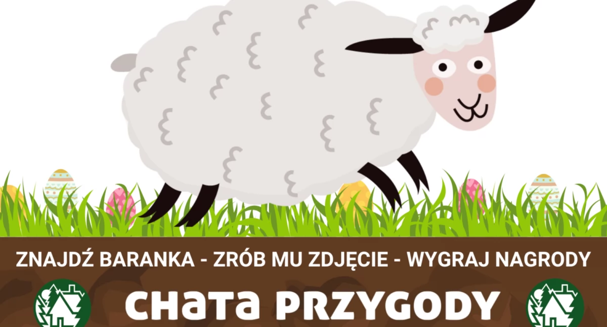 Konkursy, Wielkie Szukanie Baranka Nowym Targu - zdjęcie, fotografia