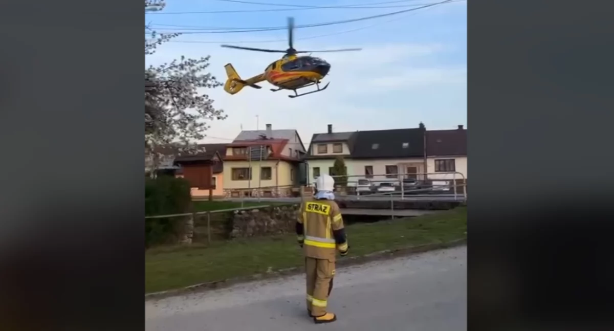 Akcje ratunkowe, Owczarek niemiecki pogryzł dziecko Krempachach zabrane śmigłowcem szpitala - zdjęcie, fotografia