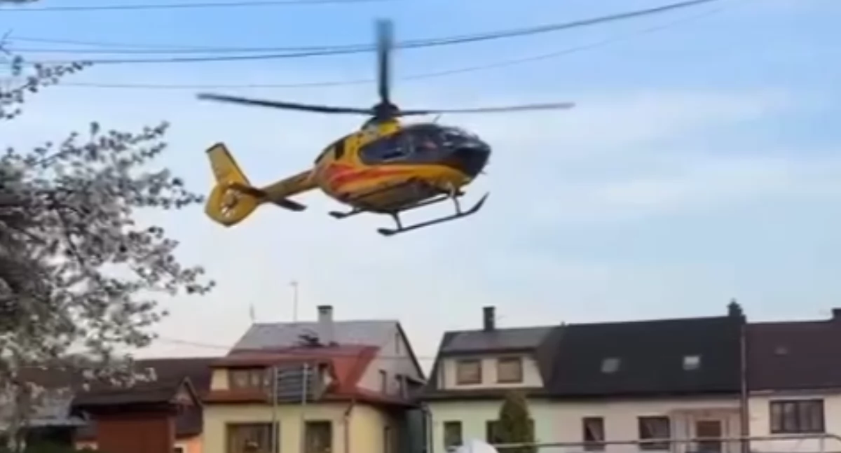 Akcje ratunkowe, Owczarek pogryzł letniego chłopca policjanci informują doszło - zdjęcie, fotografia