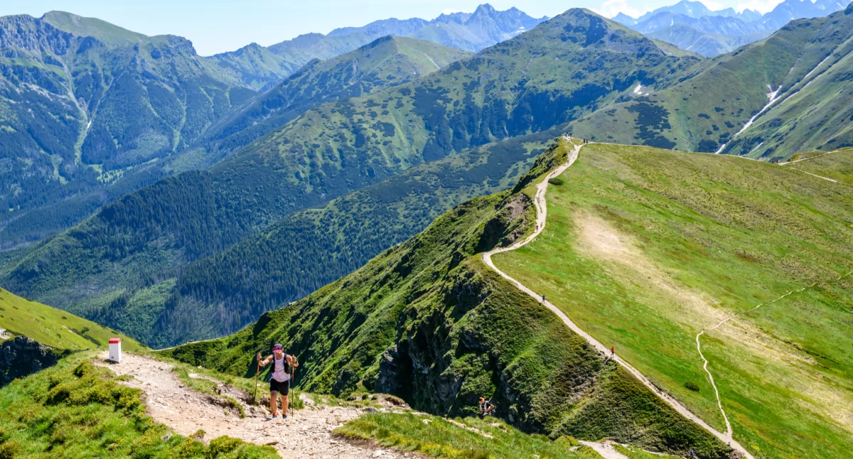 Biegi, Tatra sportowa rywalizacja przygoda edukacja sercu - zdjęcie, fotografia
