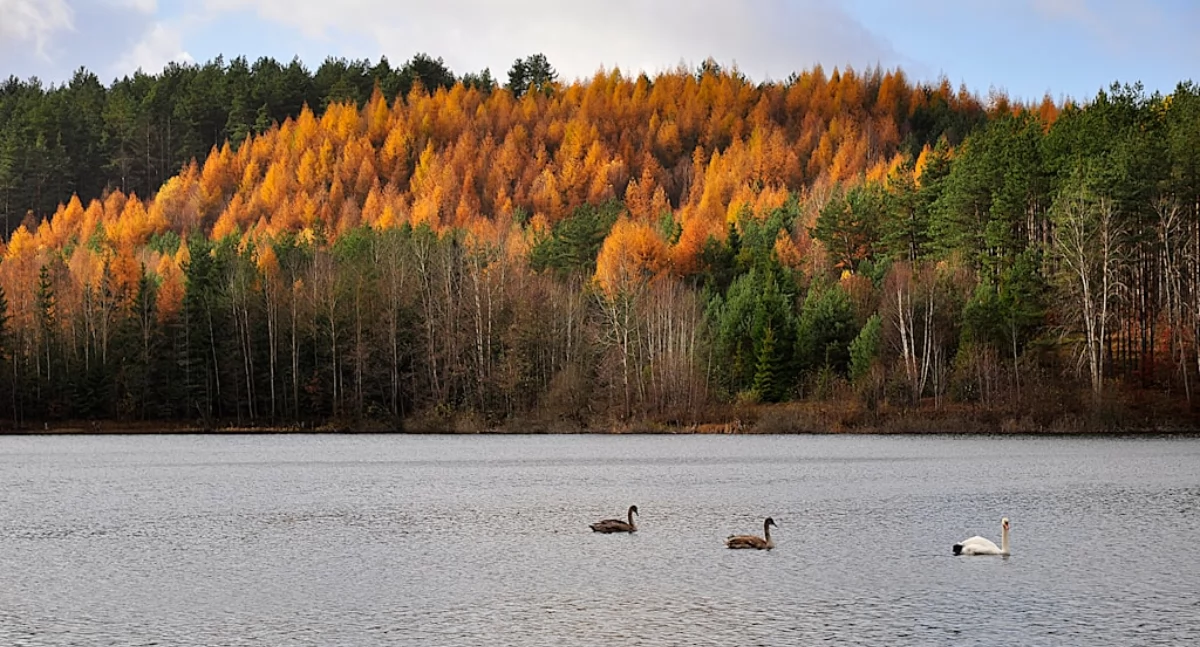 Różne, Zakochaj Kaszubach największe atrakcje regionu - zdjęcie, fotografia