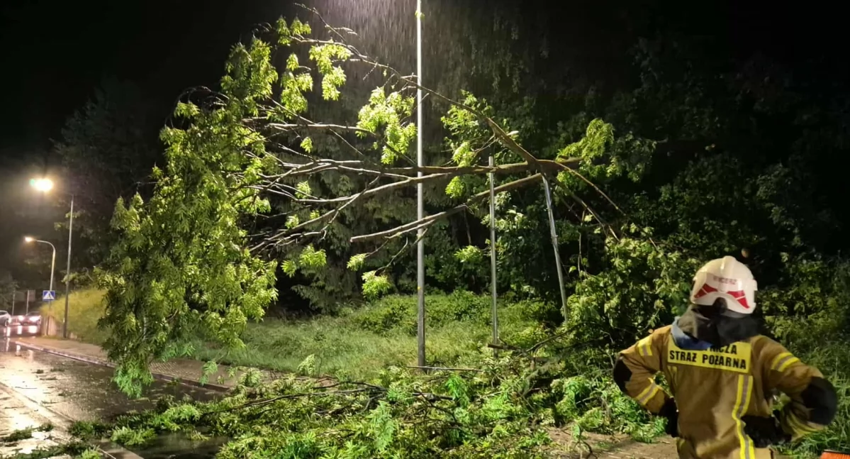 Informacje 112, Skutki gwałtownej nawałnicy Podhalu połamane drzewa uszkodzenia interwencje służb - zdjęcie, fotografia