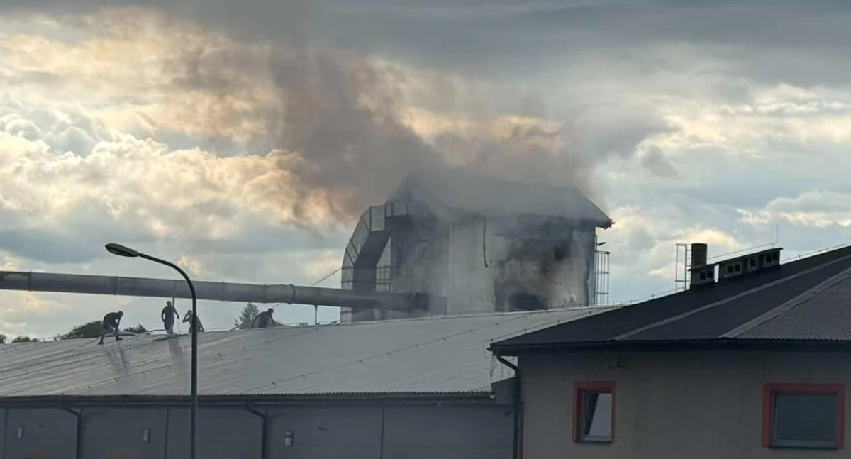 Pożary, Pożar zakładu stolarskiego Jabłonce miejscu kilkanaście zastępów straży pożarnej - zdjęcie, fotografia
