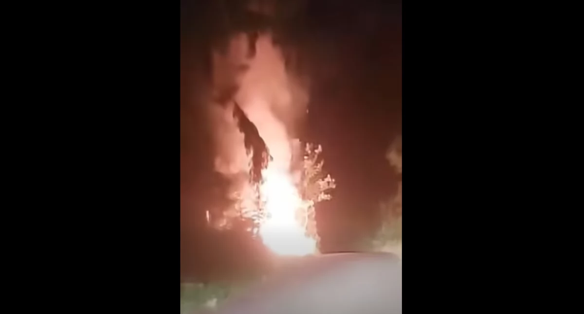 Pożary, Pożar drodze terenie leśnym szybka interwencja strażaków  - zdjęcie, fotografia
