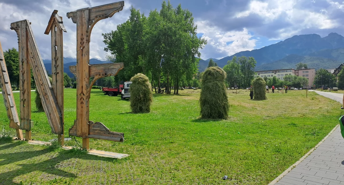 Sprawy lokalne, Sianokosy Zakopanem dawnych czasów siana znikający element krajobrazu tradycji - zdjęcie, fotografia