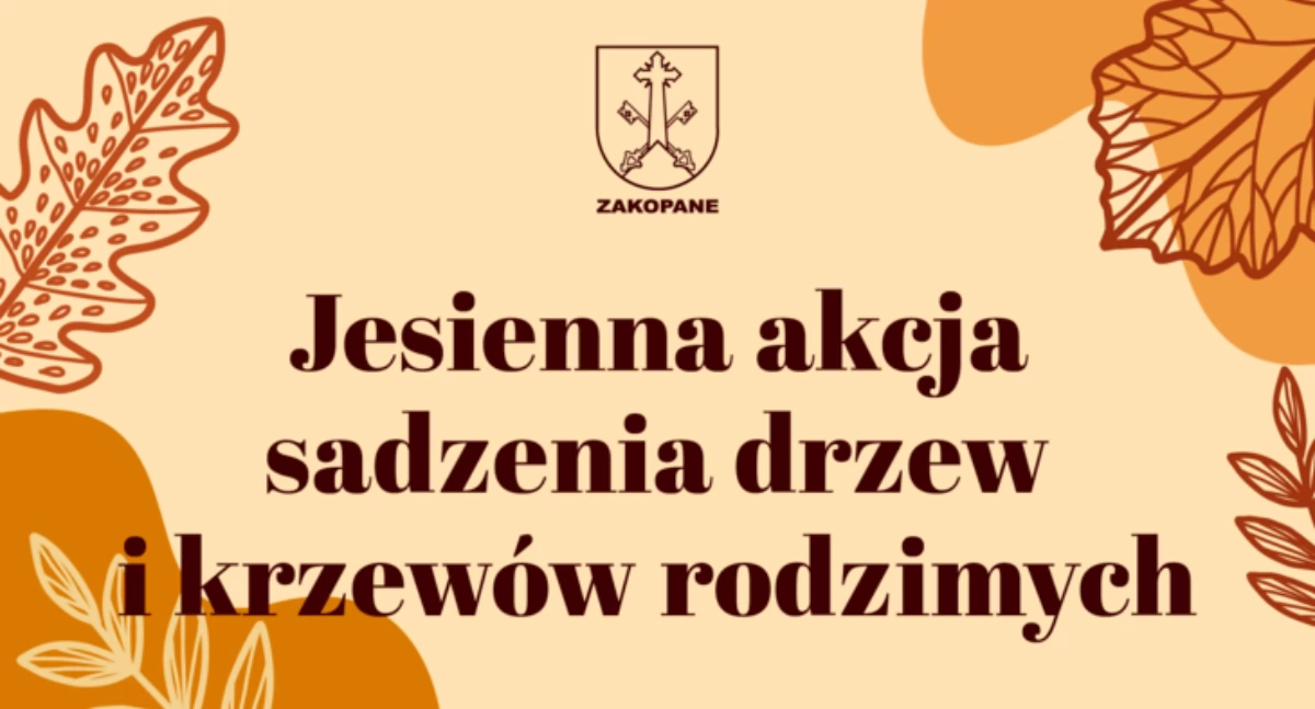Sprawy lokalne, Zakopane rozdaje sadzonki drzew krzewów odpady rusza jesienna akcja ekologiczna - zdjęcie, fotografia