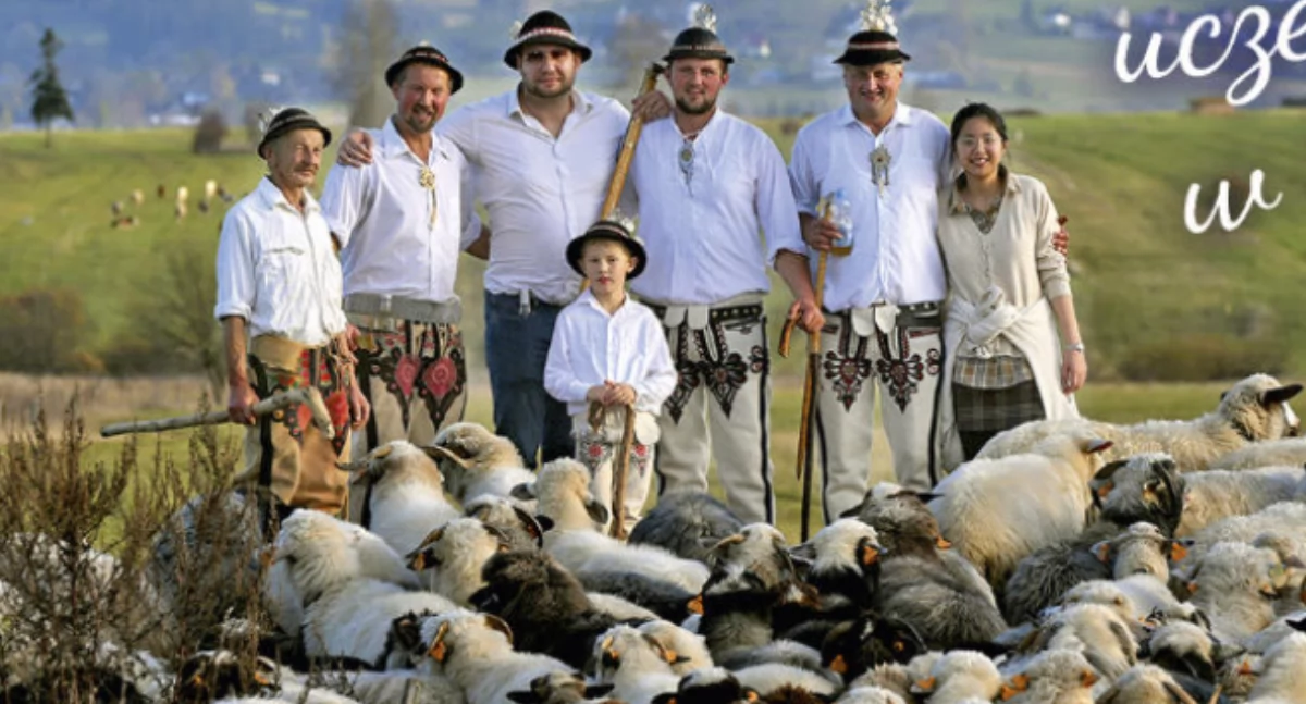 Folklor, Jesienny Redyk Podhalu zapowiedź barwnego powrotu owiec - zdjęcie, fotografia