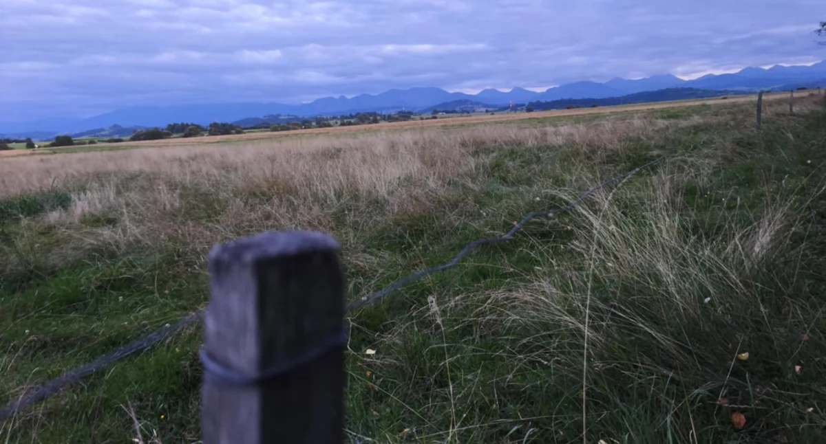 Sprawy lokalne, Okradli rolników zniknęły akumulatory pastuch - zdjęcie, fotografia