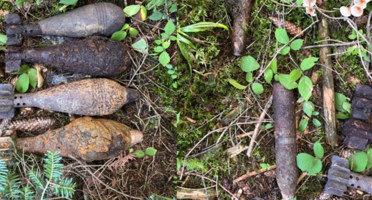 Informacje 112, Niewybuchy wojny światowej znalezione lesie gminie Lipnica Wielka - zdjęcie, fotografia