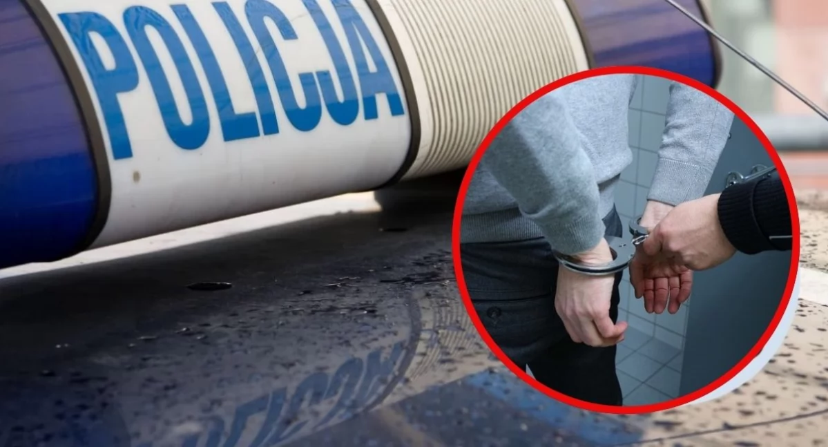 Zatrzymania, latek Nowego Targu odpowie posiadanie środków odurzających - zdjęcie, fotografia