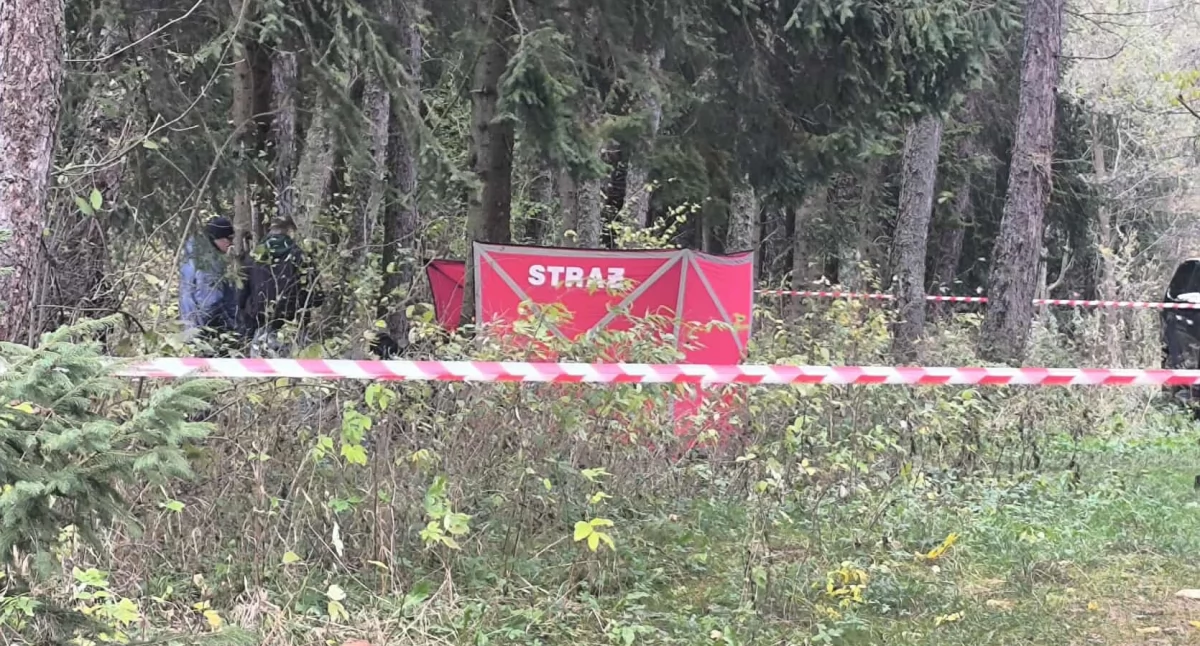 Akcje ratunkowe, Martwy mężczyzna znaleziony lesie Nowej Białej - zdjęcie, fotografia