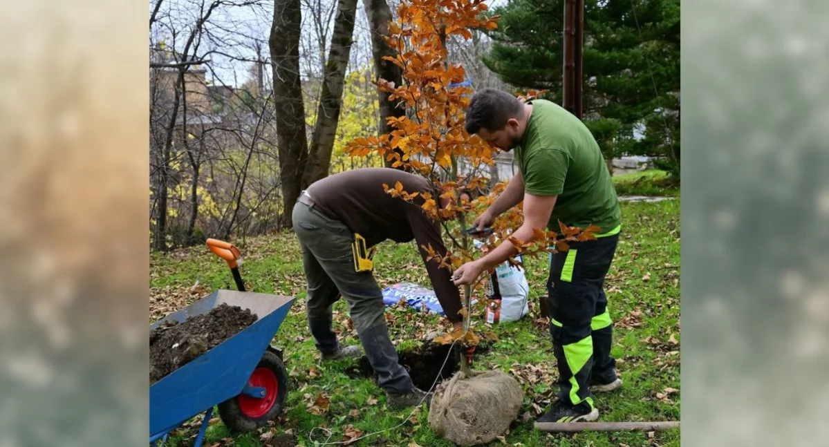 fot. Maciek Jonek ZCK