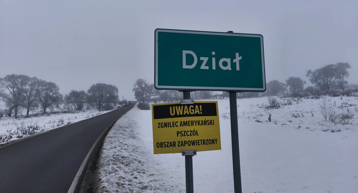 Przyroda, Zgnilec amerykański pszczół obszar zapowietrzony oznacza ostrzeżenie zagraża mieszkańcom - zdjęcie, fotografia