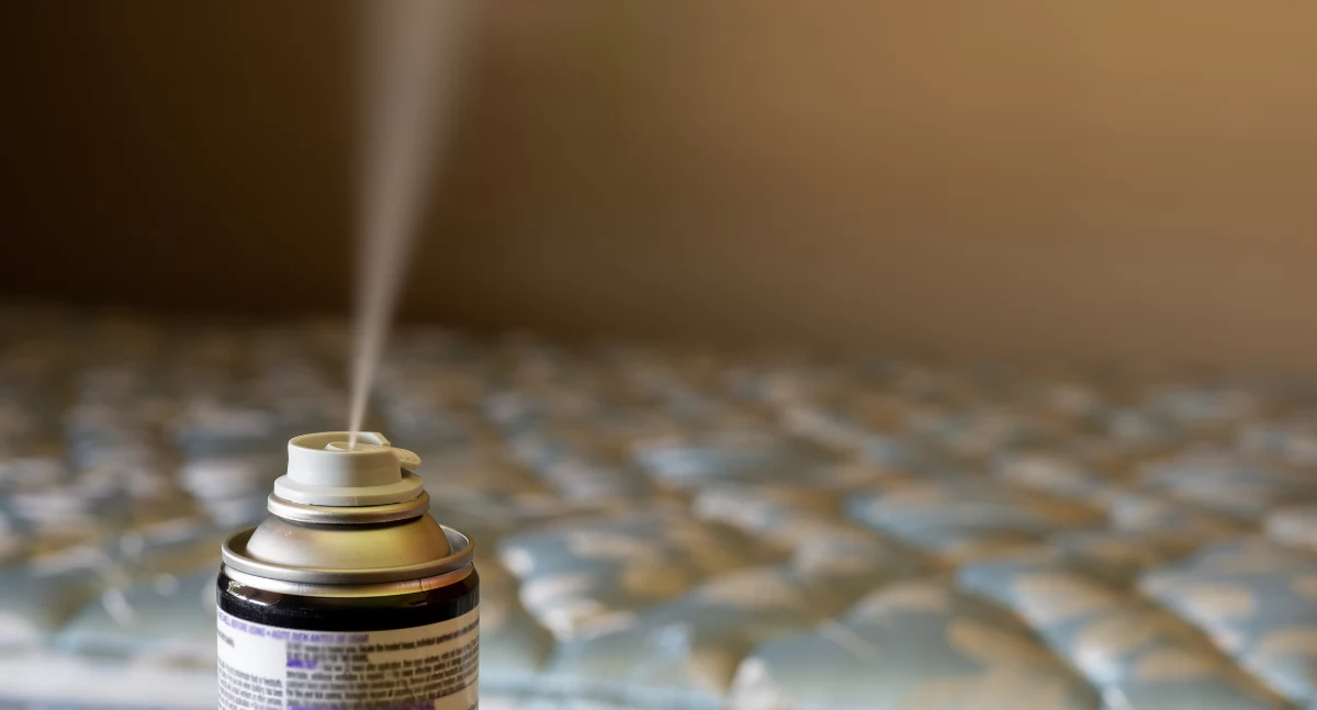 Różne, Aerozol owadobójczy skuteczne wsparcie walce ukrytymi szkodnikami - zdjęcie, fotografia