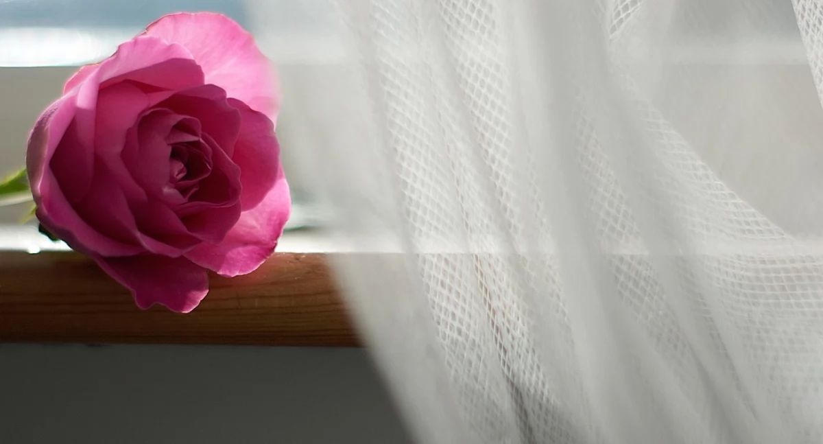 Różne, Pranie pościeli firan Krakowie musisz wiedzieć - zdjęcie, fotografia