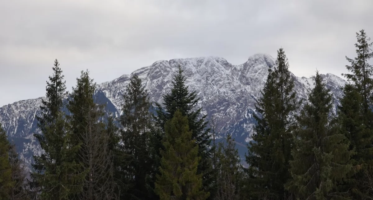 Różne, Sprzedajesz nieruchomość górach Dowiedz Apartmania pomoże zyskać więcej - zdjęcie, fotografia