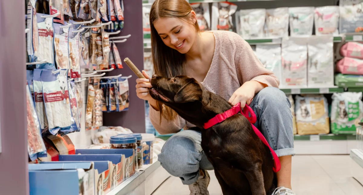Różne, Gdzie robić zakupy pupila Przewodnik miejscach które oferują najlepsze produkty - zdjęcie, fotografia