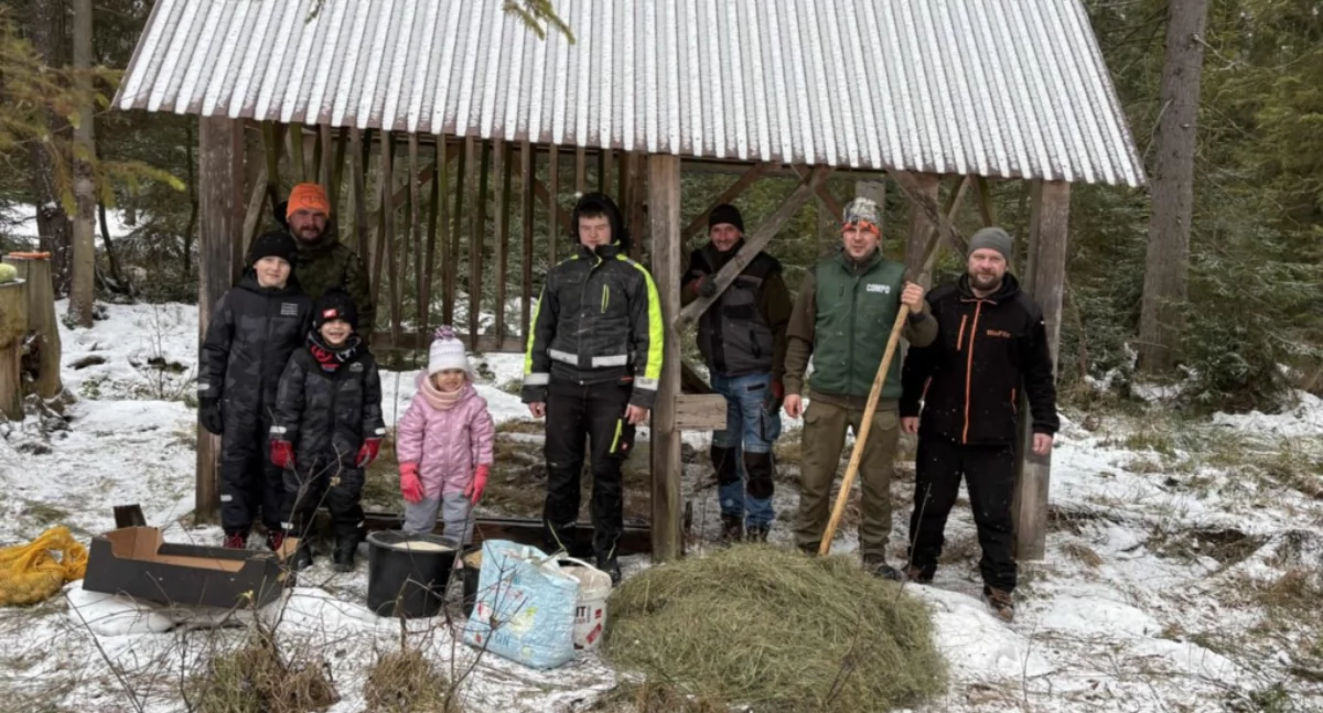 Przyroda, Wigilia Koniówce także zwierząt leśna tradycja pełna troski - zdjęcie, fotografia