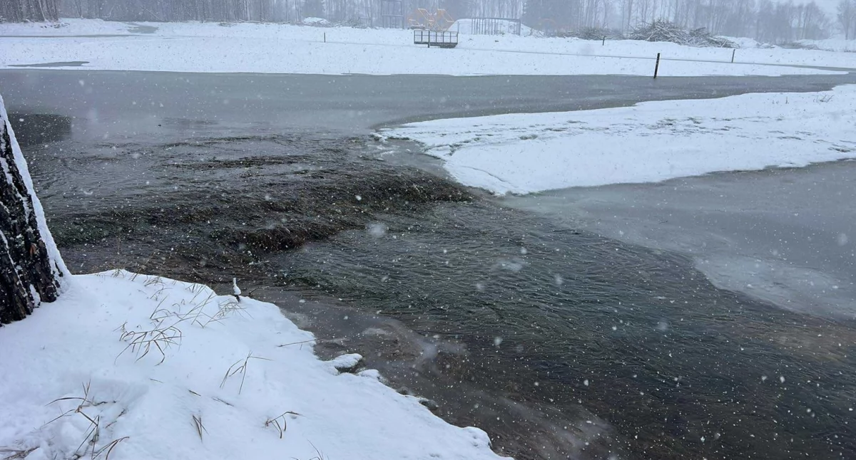 Zagrożenia miejscowe, Wylał potok bobry winowajcami podtopień Czarnym Dunajcu - zdjęcie, fotografia