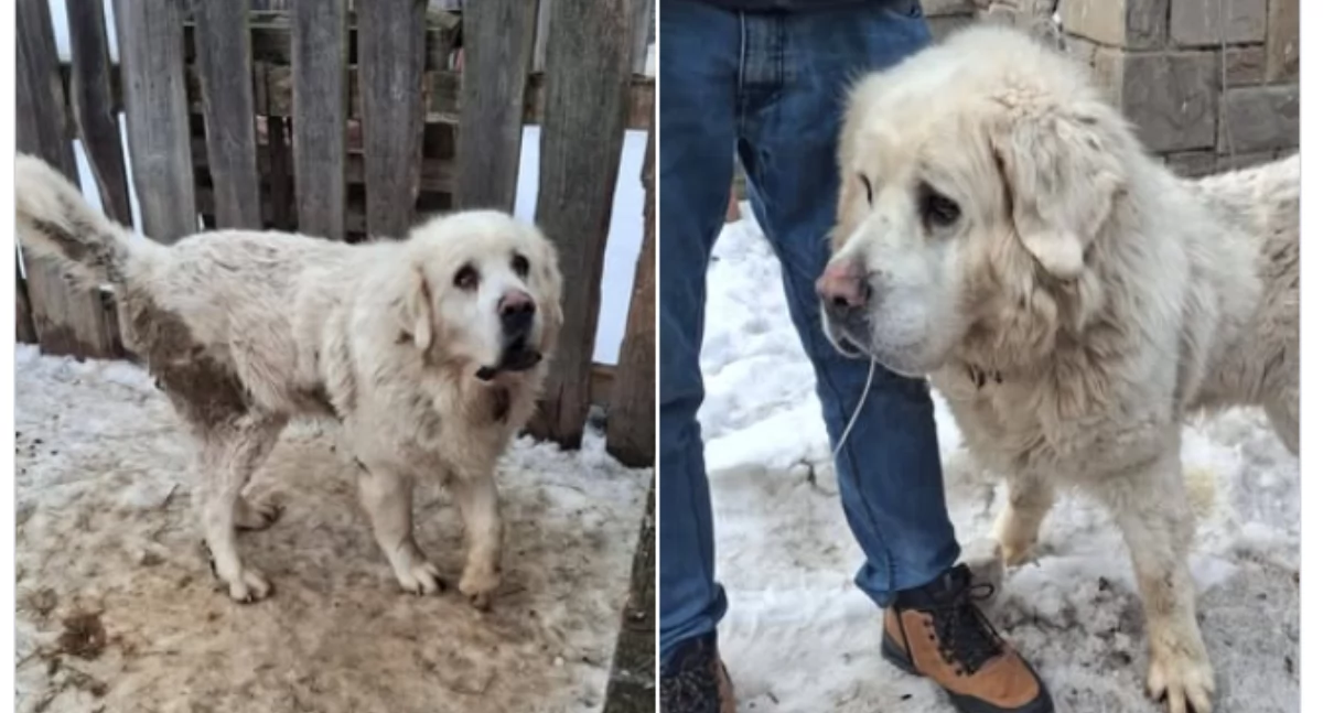 fot. Urząd Miasta i Gminy Czarny Dunajec