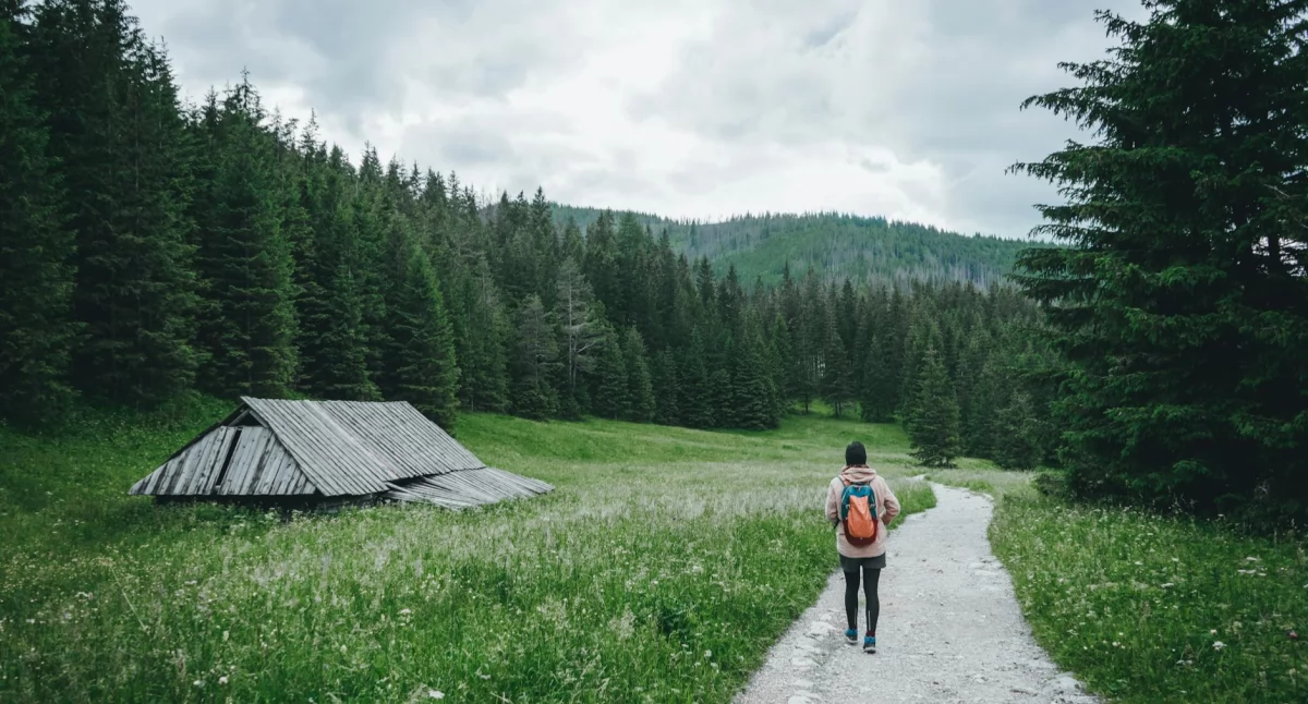 Różne, Pytania patent strzelecki dlaczego mieszkając górach warto znać zdobyć licencję - zdjęcie, fotografia