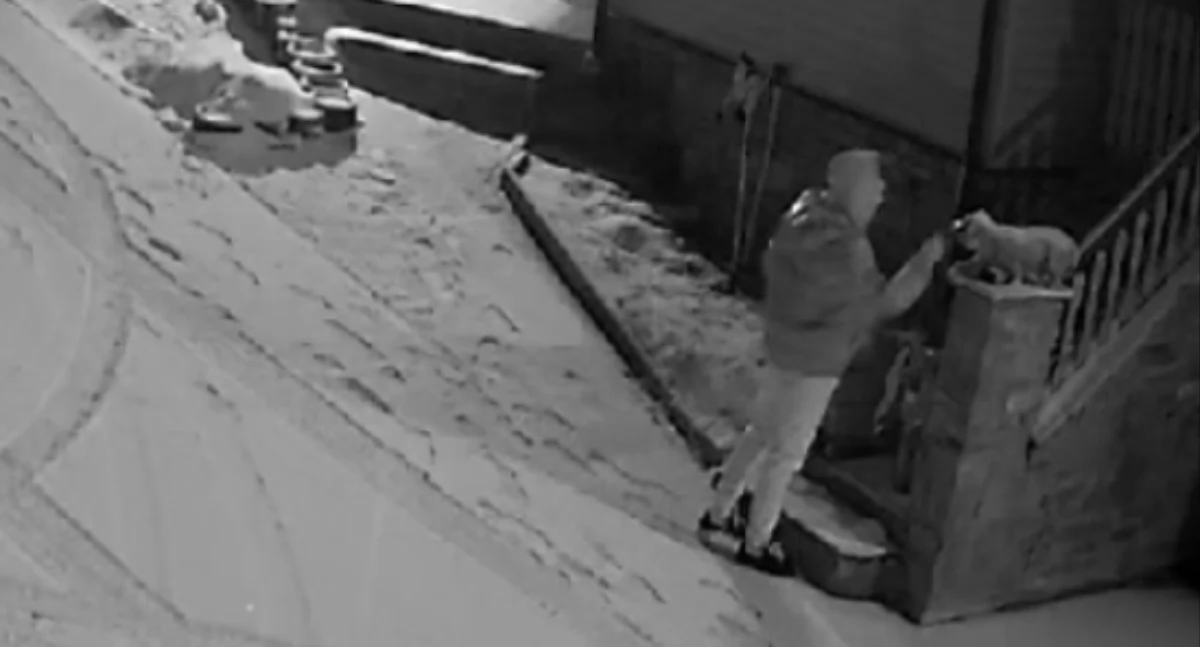 Sprawy lokalne, Kręcą posesjach obserwują zaniepokojeni mieszkańcy alarmują - zdjęcie, fotografia