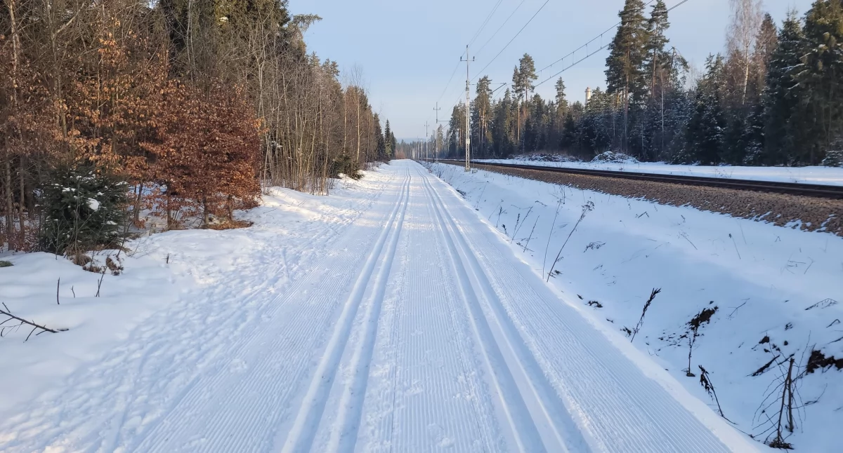 Fot. Urząd Miasta Nowy Targ
